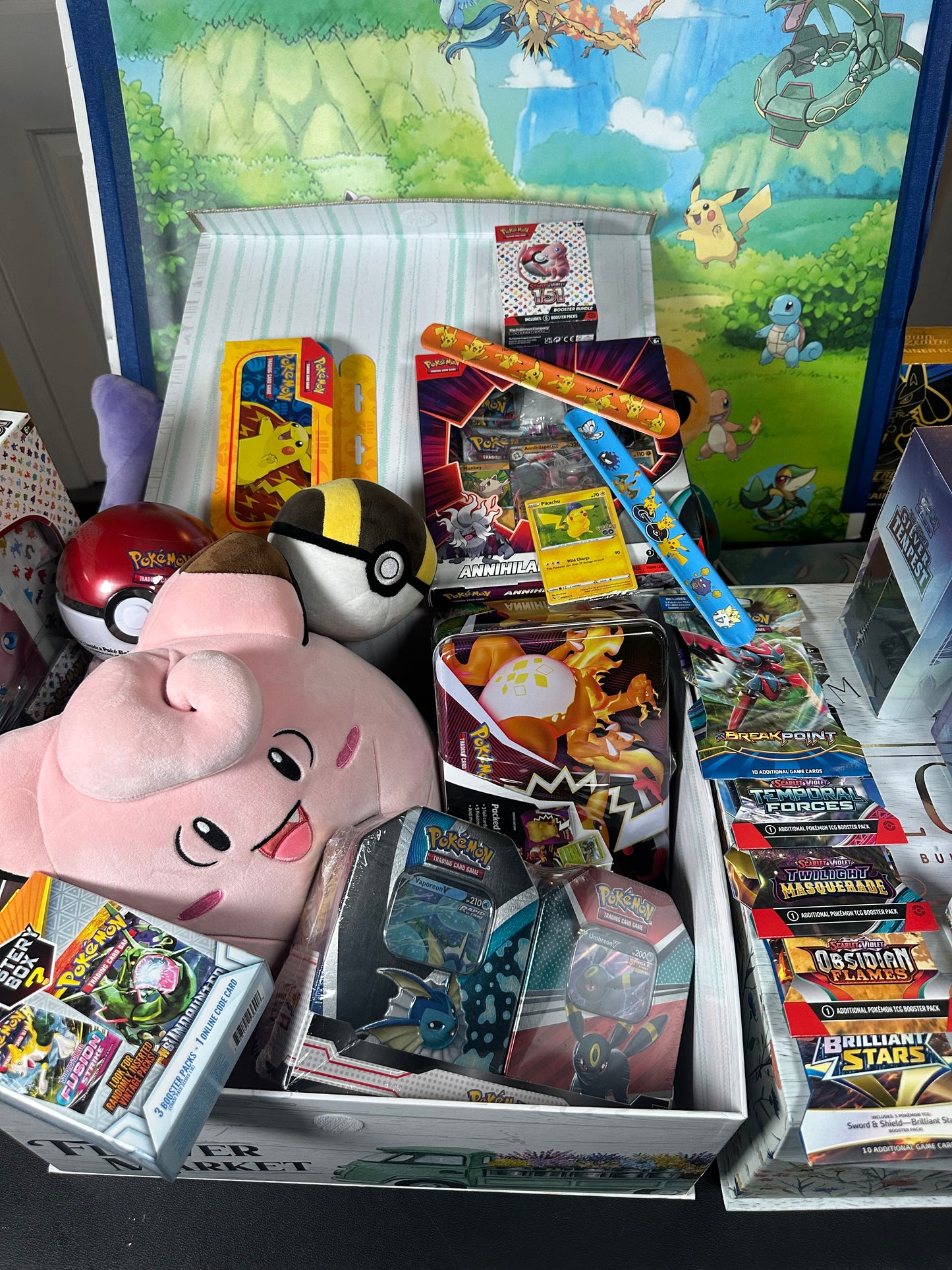 Extra Large Pokémonphilly Plush Mystery Box!