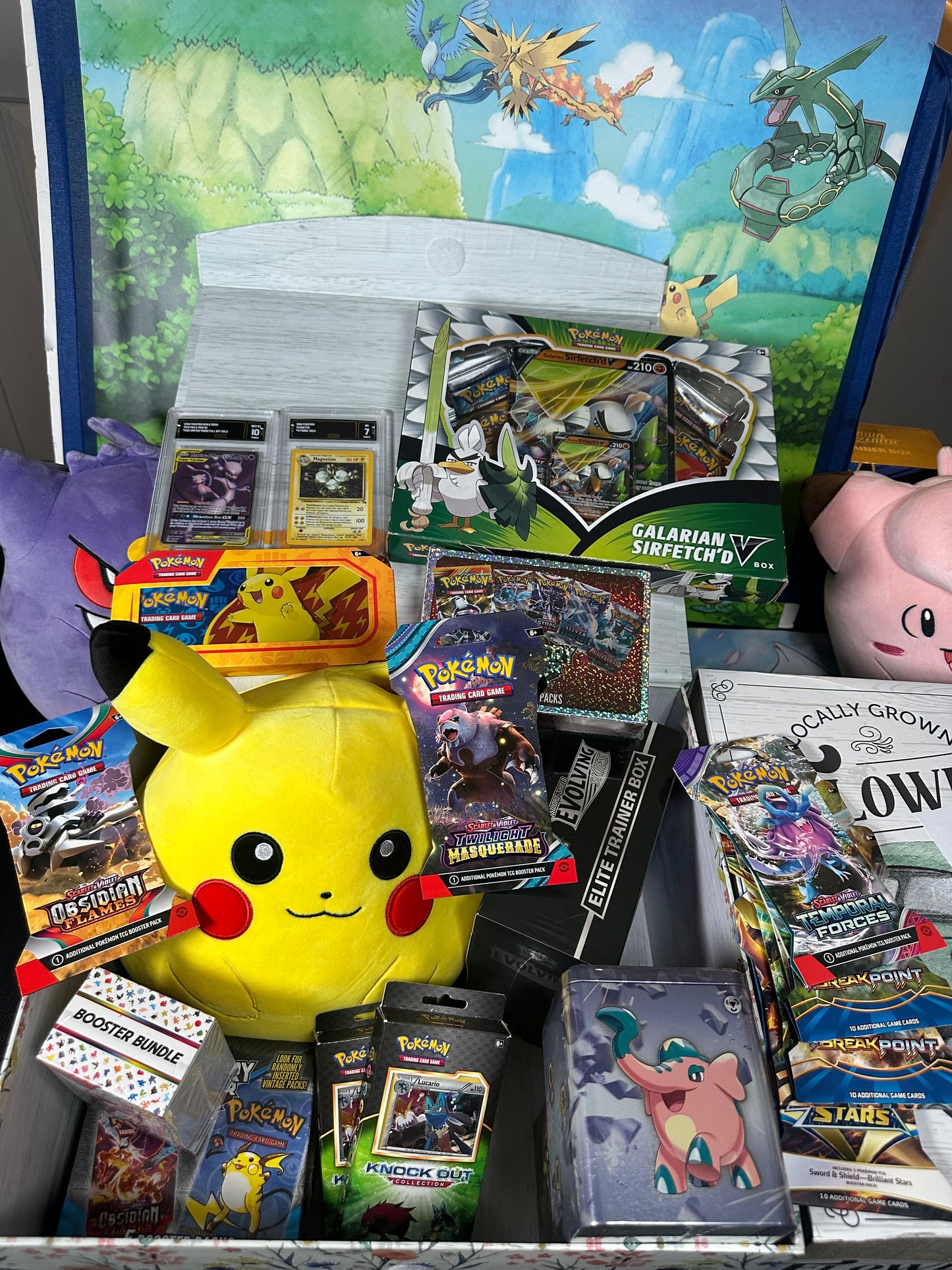 Extra Large Pokémonphilly Plush Mystery Box!