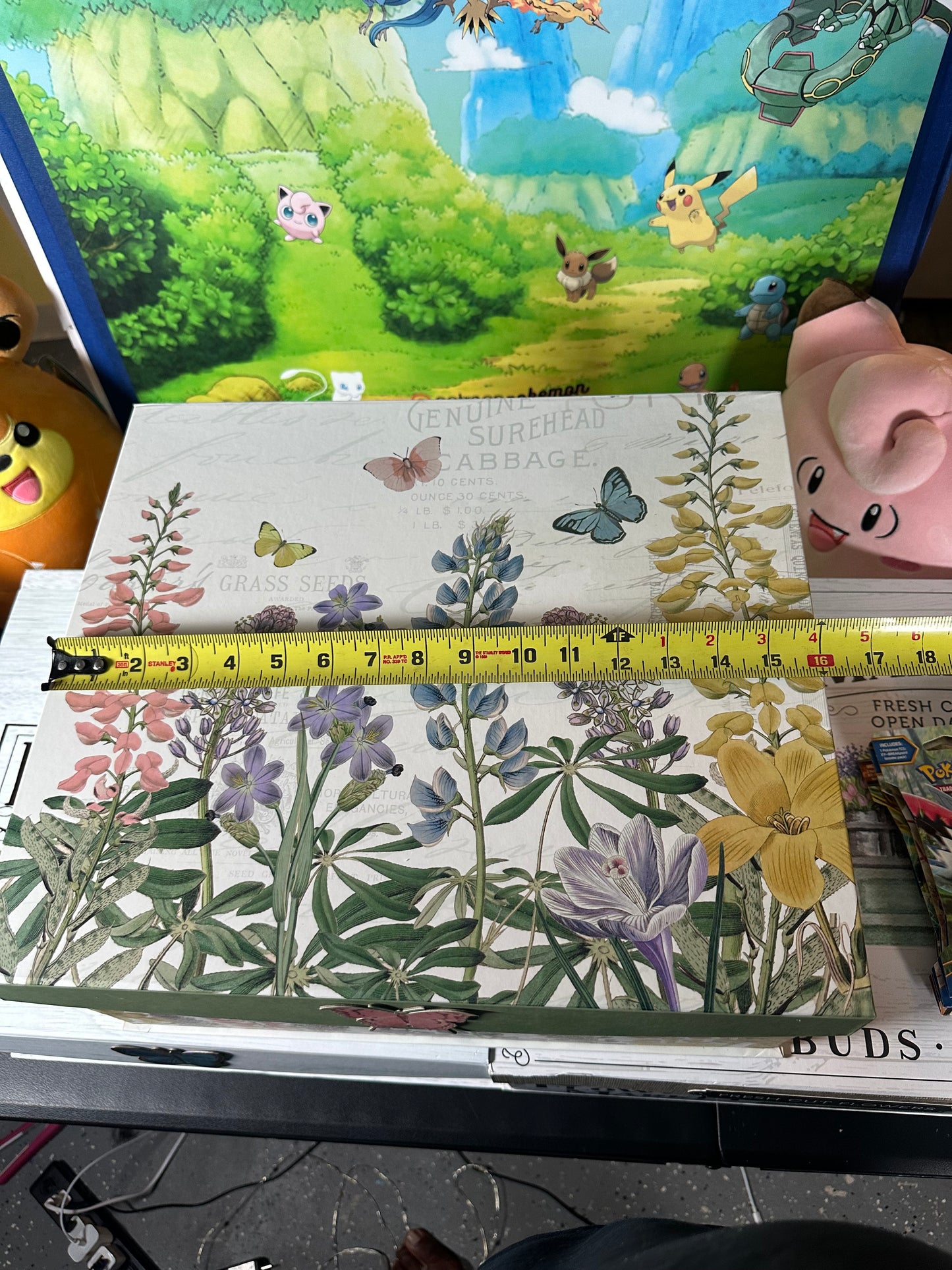 Extra Large Pokémonphilly Plush Mystery Box!