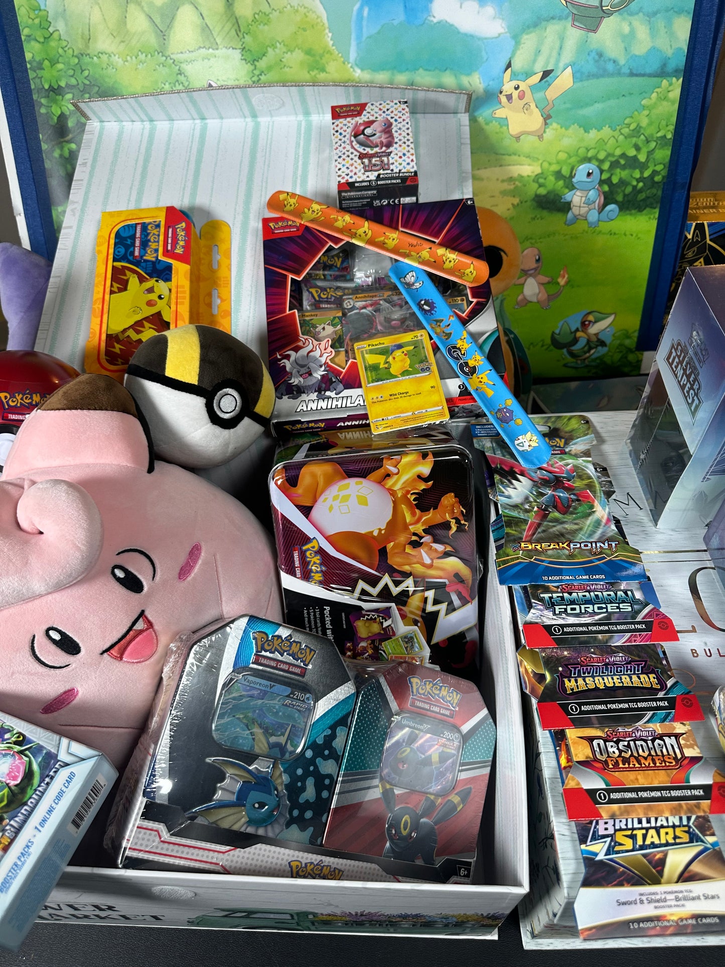 Extra Large Pokémonphilly Plush Mystery Box!