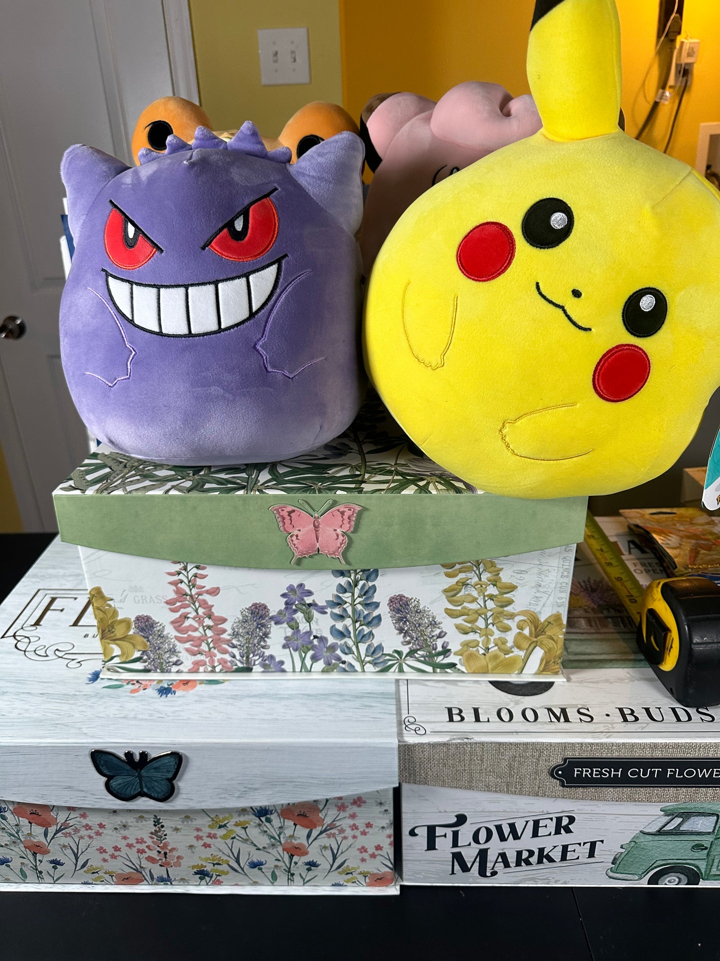 Extra Large Pokémonphilly Plush Mystery Box!