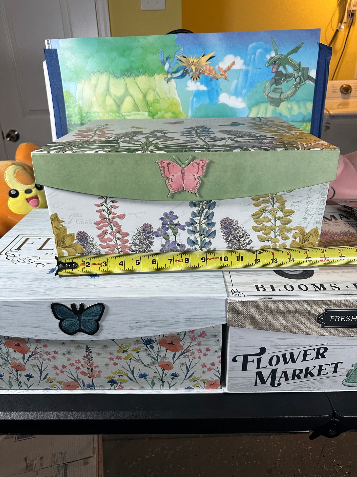 Extra Large Pokémonphilly Plush Mystery Box!