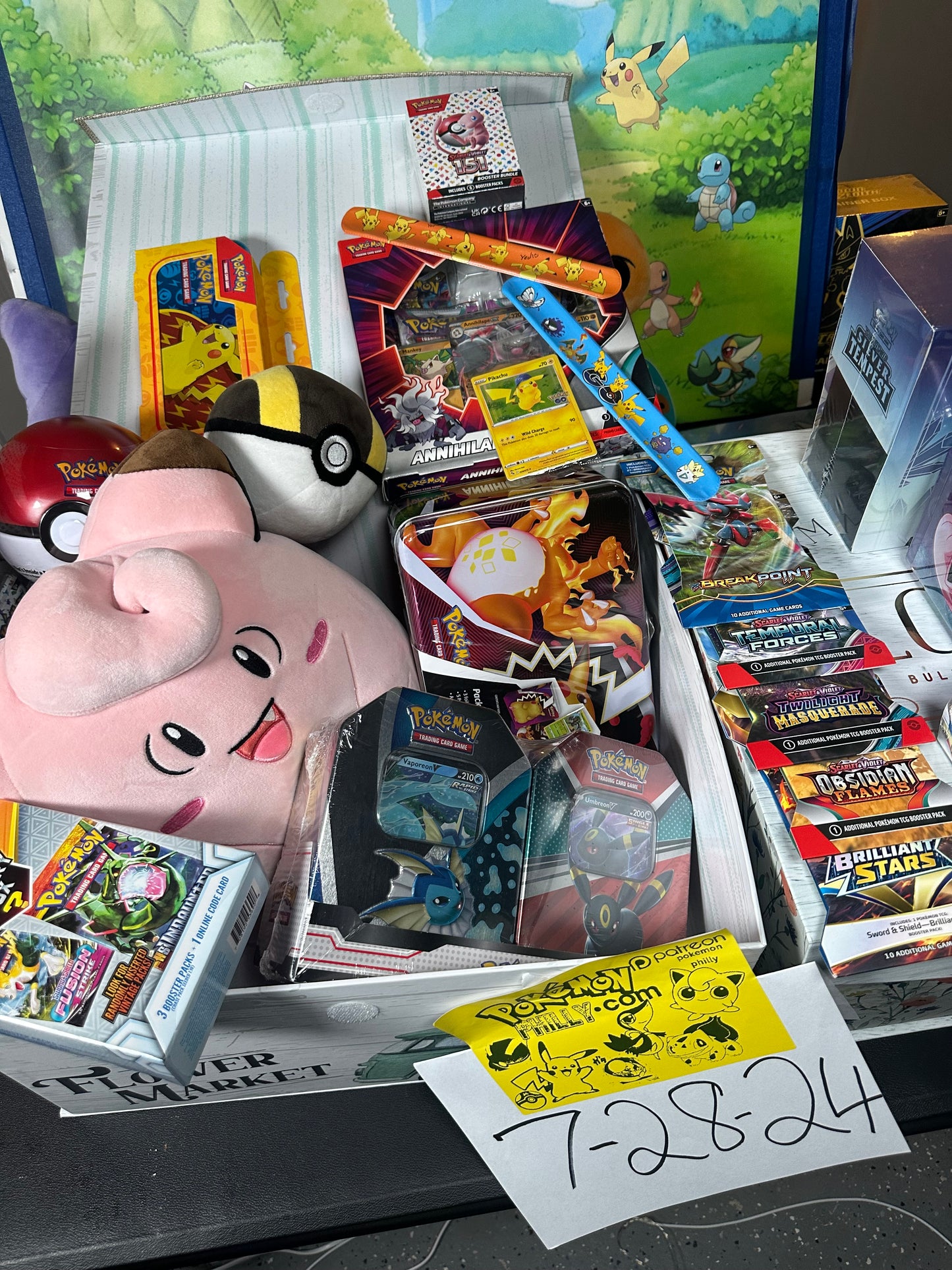 Extra Large Pokémonphilly Plush Mystery Box!